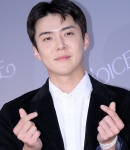 sehunnoice_28929.jpg