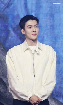 sehunatmoon_281729.jpg