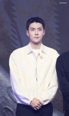 sehunatmoon_282229.jpg