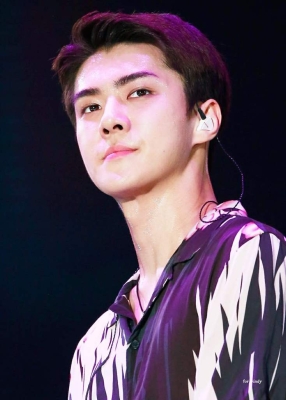 Click to view full size image
==============
lottesehun_283829.jpg lottesehun_283829.jpg