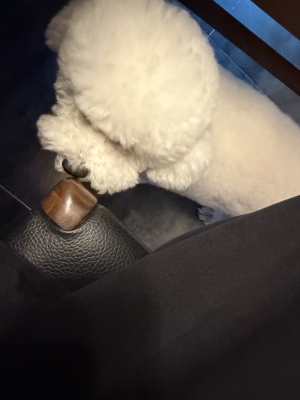 vivi0925.jpg