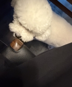 vivi0925.jpg